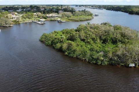 Terreno en venta en Alva, Florida № 1798172 - foto 7