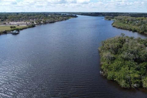 Terreno en venta en Alva, Florida № 1798172 - foto 2