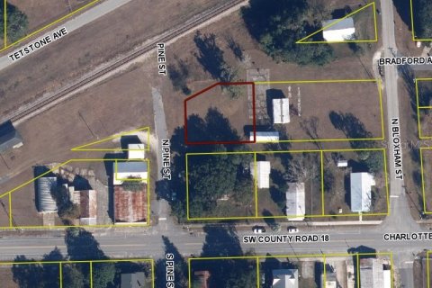 Land in Brooker, Florida № 2218149