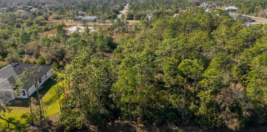 Land in Orlando, Florida № 1532186