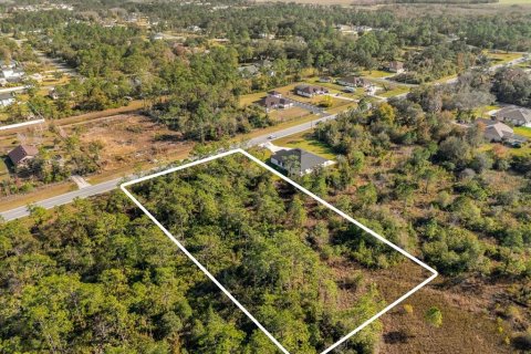 Land in Orlando, Florida № 1532186 - photo 15