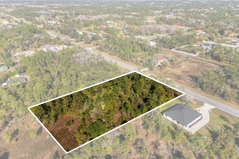 Land in Orlando, Florida № 1532186 - photo 10