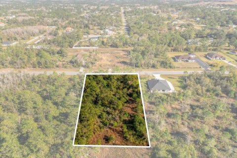 Land in Orlando, Florida № 1532186 - photo 13