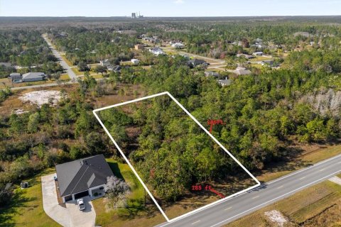 Land in Orlando, Florida № 1532186 - photo 4