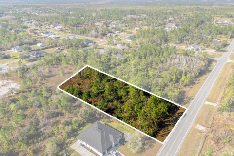 Land in Orlando, Florida № 1532186 - photo 6