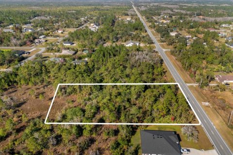 Land in Orlando, Florida № 1532186 - photo 9