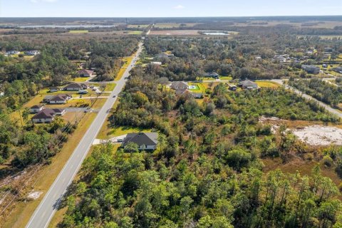 Land in Orlando, Florida № 1532186 - photo 18