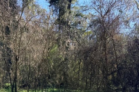 Land in Alachua, Florida № 2162069