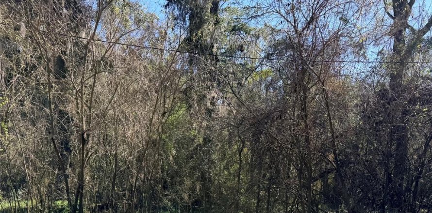 Land in Alachua, Florida № 2162069