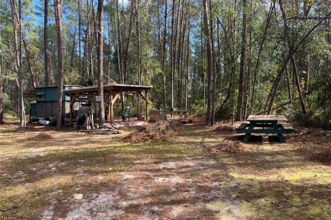 Terreno en venta en Altoona, Florida № 1429349 - foto 18
