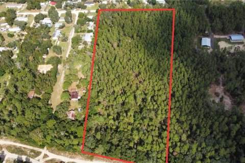 Land in Altoona, Florida № 1429349 - photo 2