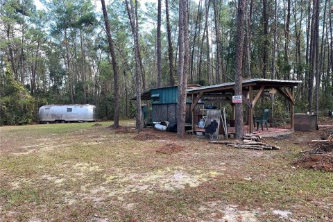 Terreno en venta en Altoona, Florida № 1429349 - foto 13