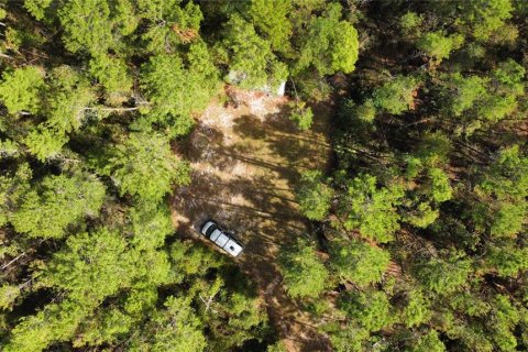 Land in Altoona, Florida № 1429349 - photo 7