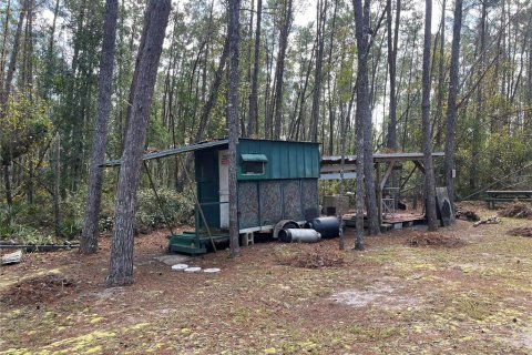 Terreno en venta en Altoona, Florida № 1429349 - foto 14
