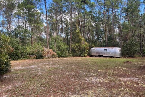 Terreno en venta en Altoona, Florida № 1429349 - foto 10