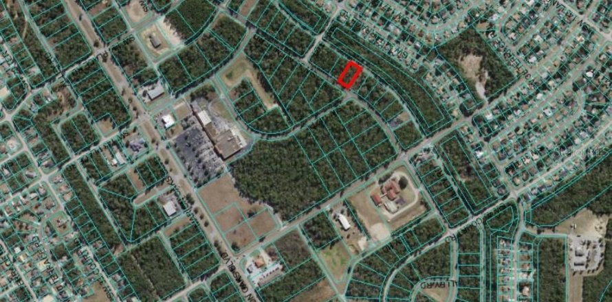 Terrain à Ocala, Floride № 1087161