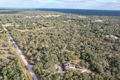 Land in Dunnellon, Florida № 1893907 - photo 5