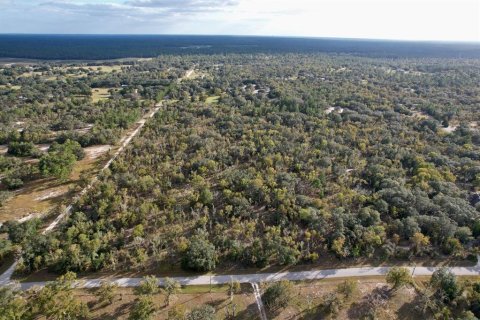 Land in Dunnellon, Florida № 1893907 - photo 2