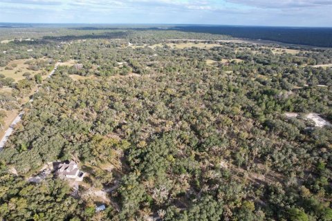 Land in Dunnellon, Florida № 1893907 - photo 4