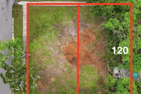 Land in Saint Petersburg, Florida № 1833324 - photo 15