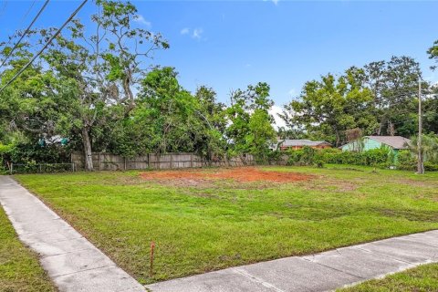 Land in Saint Petersburg, Florida № 1833324 - photo 13