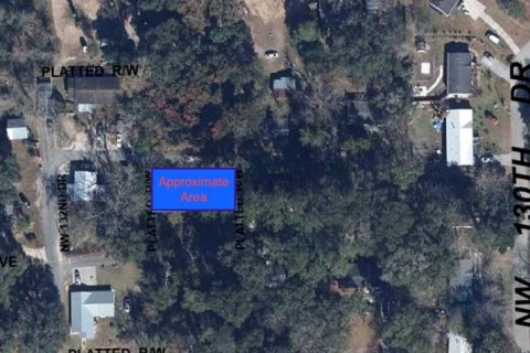 Land in Alachua, Florida № 2161993 - photo 2