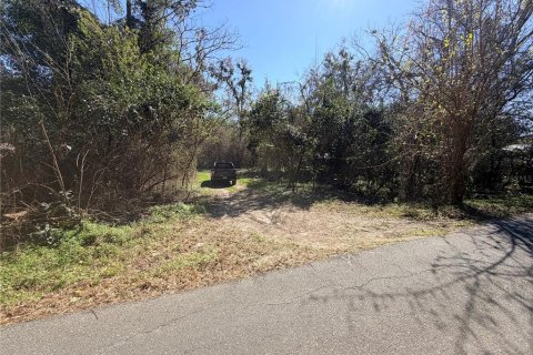 Land in Alachua, Florida № 2161993
