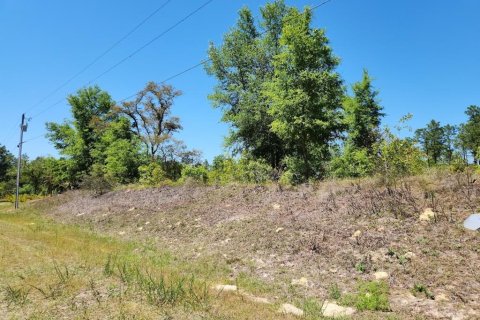 Land in Ocala, Florida № 1636549 - photo 1