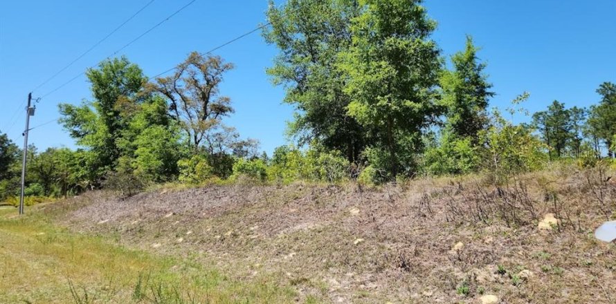 Land in Ocala, Florida № 1636549