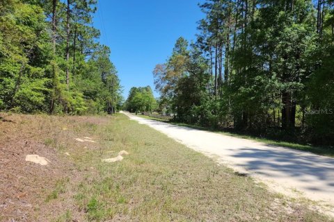 Land in Ocala, Florida № 1636549 - photo 2
