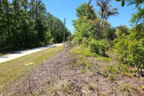 Land in Ocala, Florida № 1636549 - photo 12