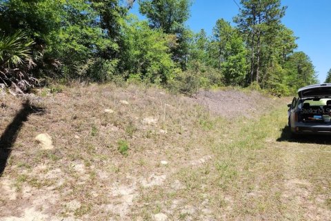 Land in Ocala, Florida № 1636549 - photo 10