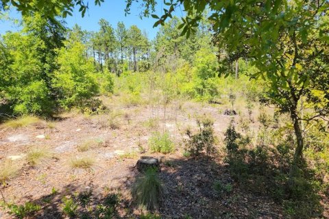 Land in Ocala, Florida № 1636549 - photo 7