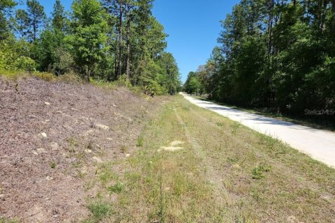 Land in Ocala, Florida № 1636549 - photo 11