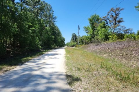 Land in Ocala, Florida № 1636549 - photo 4