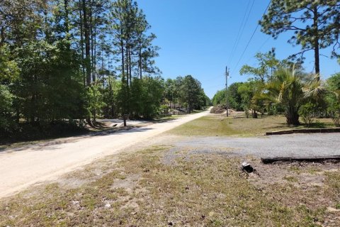 Land in Ocala, Florida № 1636549 - photo 9