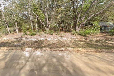 Terrain à vendre à Interlachen, Floride № 2223893 - photo 3