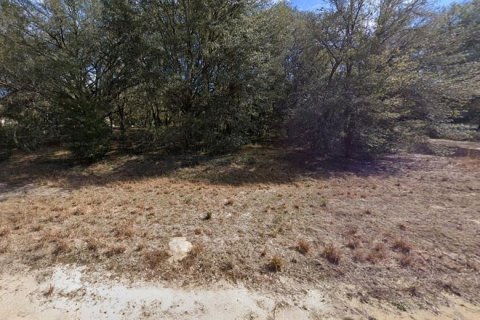 Terrain à vendre à Interlachen, Floride № 2223893 - photo 5