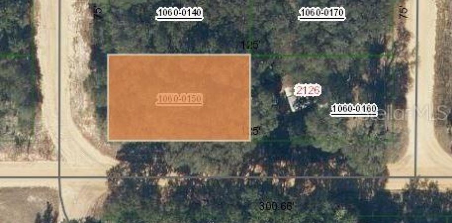 Terrain à Interlachen, Floride № 2223893
