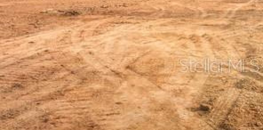 Land in Palm Harbor, Florida № 1744715