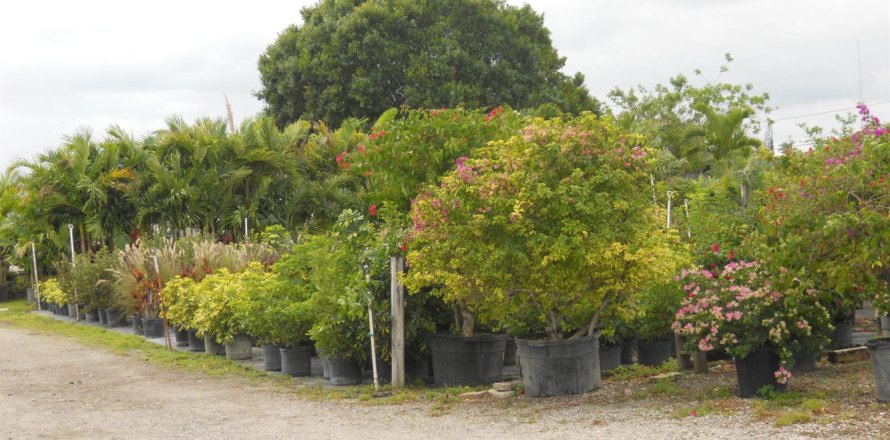 Commercial property in Boynton Beach, Florida № 2251068