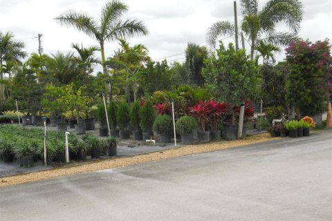 Commercial property in Boynton Beach, Florida № 2251068 - photo 11