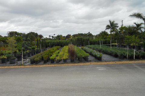 Commercial property in Boynton Beach, Florida № 2251068 - photo 9