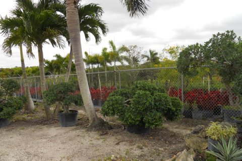 Commercial property in Boynton Beach, Florida № 2251068 - photo 5