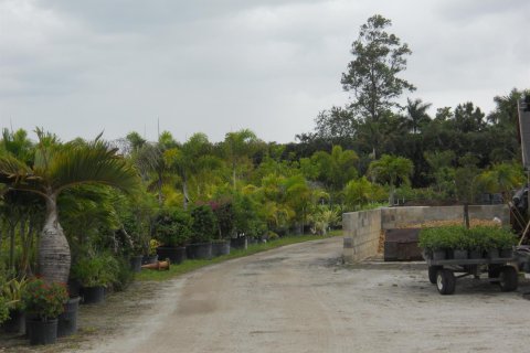 Commercial property in Boynton Beach, Florida № 2251068 - photo 4