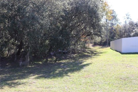 Terreno en venta en Ocala, Florida № 2093915 - foto 2