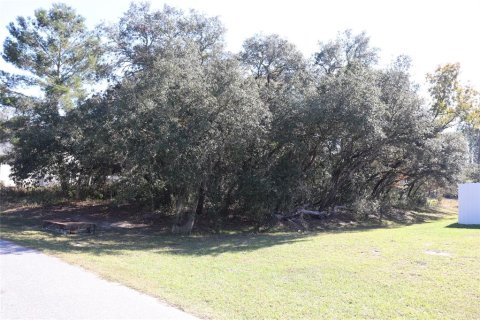 Terreno en Ocala, Florida № 2093915