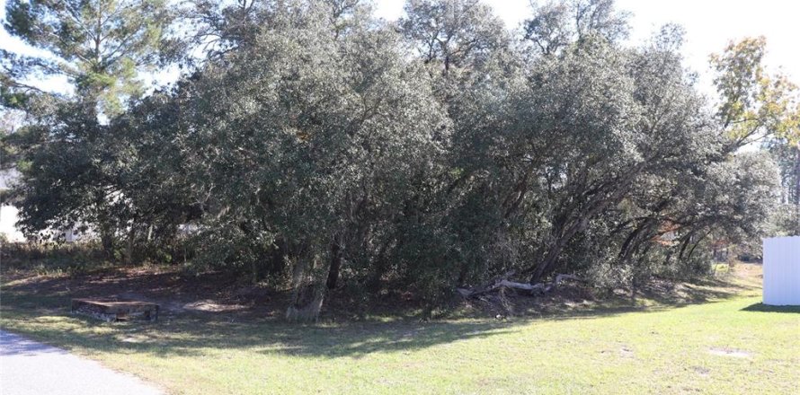 Terreno en Ocala, Florida № 2093915