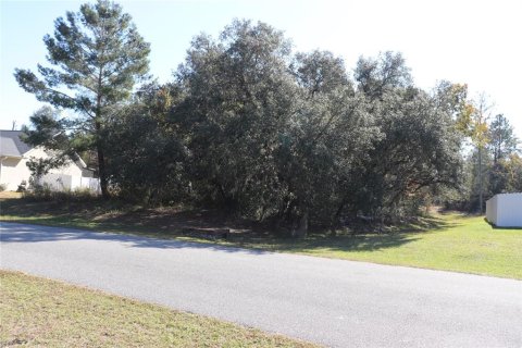 Terreno en venta en Ocala, Florida № 2093915 - foto 10