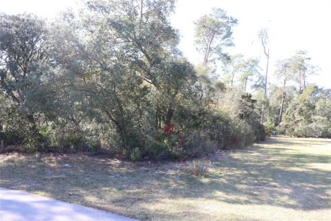Terreno en venta en Ocala, Florida № 2093915 - foto 4